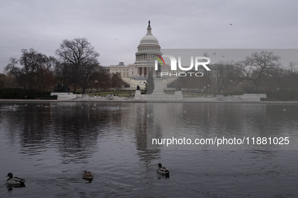 Birds are seen in the Capitol Reflecting Pool in front of the US Capitol Building in Washington DC, on December 18, 2024. The Capitol Reflec...