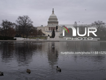 Birds are seen in the Capitol Reflecting Pool in front of the US Capitol Building in Washington DC, on December 18, 2024. The Capitol Reflec...