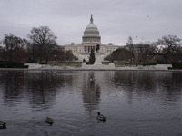 Birds are seen in the Capitol Reflecting Pool in front of the US Capitol Building in Washington DC, on December 18, 2024. The Capitol Reflec...