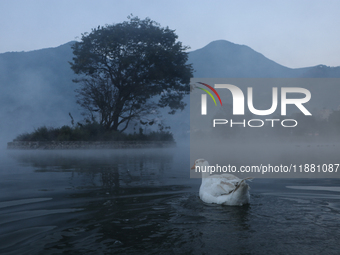 A white duck swims around at Taudaha Wetland Lake in Kirtipur, Kathmandu, Nepal, on December 19, 2024. Taudaha is a popular destination for...