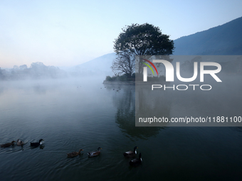 Ducks swim in the Taudaha, a natural wetland on the outskirts of Kathmandu, Nepal, on December 19, 2024. (