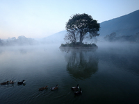 Ducks swim in the Taudaha, a natural wetland on the outskirts of Kathmandu, Nepal, on December 19, 2024. (