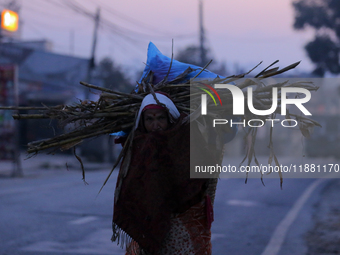 A Nepali woman carries sticks to make a bonfire as the temperature drops in Kathmandu, Nepal, on December 19, 2024, with the onset of winter...