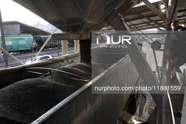 A truck is filled with sunflower seeds at a grain elevator in Chernihiv region, northern Ukraine, on December 18, 2024. 