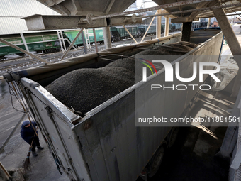 A truck is filled with sunflower seeds at a grain elevator in Chernihiv region, northern Ukraine, on December 18, 2024. (