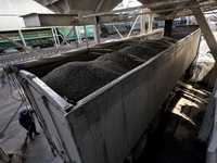 A truck is filled with sunflower seeds at a grain elevator in Chernihiv region, northern Ukraine, on December 18, 2024. (