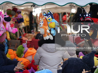 A colorful display of plush toys is at a market in Grafing, Bavaria, Germany, on December 15, 2024. Children browse the market atmosphere. (