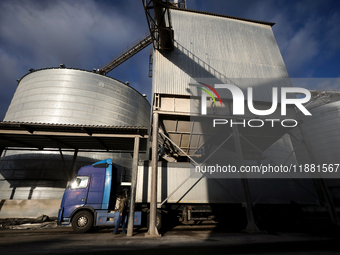 A truck is filled with grain at a grain elevator in Chernihiv region, northern Ukraine, on December 18, 2024. NO USE RUSSIA. NO USE BELARUS....