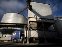 A truck is filled with grain at a grain elevator in Chernihiv region, northern Ukraine, on December 18, 2024. NO USE RUSSIA. NO USE BELARUS....