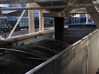 A truck is filled with sunflower seeds at a grain elevator in Chernihiv region, northern Ukraine, on December 18, 2024. (