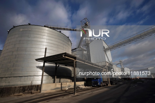 A truck is filled with grain at a grain elevator in Chernihiv region, northern Ukraine, on December 18, 2024. NO USE RUSSIA. NO USE BELARUS....