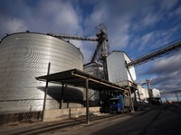 A truck is filled with grain at a grain elevator in Chernihiv region, northern Ukraine, on December 18, 2024. NO USE RUSSIA. NO USE BELARUS....