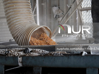 Grain is poured into a container at a grain elevator in Chernihiv region, Ukraine, on December 18, 2024. NO USE RUSSIA. NO USE BELARUS. (