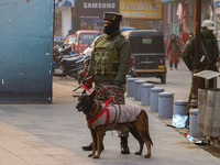 An Indian security personnel, along with a sniffer dog, guards a road in Srinagar, Jammu and Kashmir, on December 19, 2024. Indian security...