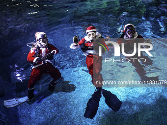 A diver dressed as Santa Claus prepares for a feeding performance to celebrate Christmas at Sea Life Bangkok Ocean World aquarium in Bangkok...