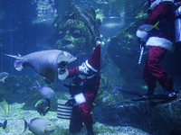 A diver dressed as Santa Claus feeds a ray fish during a special seasonal feeding performance to celebrate Christmas at Sea Life Bangkok Oce...