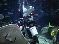 A diver dressed as Santa Claus feeds a ray fish during a special seasonal feeding performance to celebrate Christmas at Sea Life Bangkok Oce...