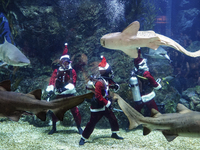 A diver dressed as Santa Claus feeds a shark during a special seasonal feeding performance to celebrate Christmas at Sea Life Bangkok Ocean...