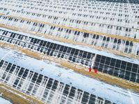 Operation and maintenance personnel clean snow on photovoltaic modules in the 100,000-kilowatt photovoltaic power generation project area of...