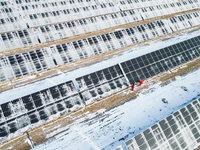 Operation and maintenance personnel clean snow on photovoltaic modules in the 100,000-kilowatt photovoltaic power generation project area of...