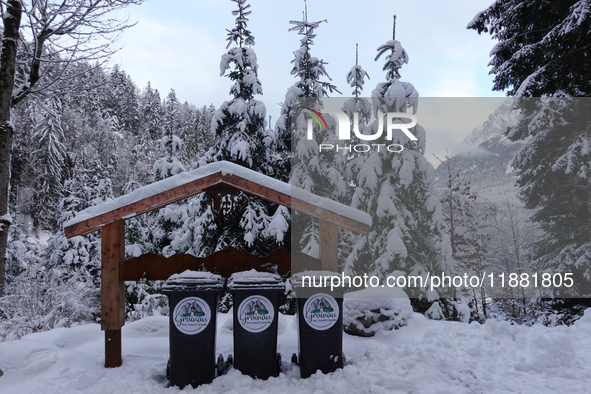 Waste bins under a wooden shelter in a snowy forest highlight local waste management efforts in a winter landscape in Grainau, Lake Eibsee,...