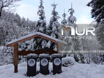 Waste bins under a wooden shelter in a snowy forest highlight local waste management efforts in a winter landscape in Grainau, Lake Eibsee,...