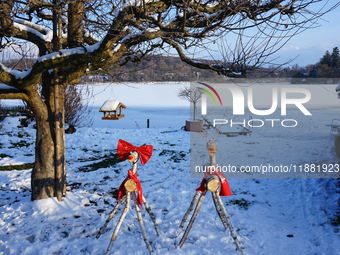 In Wessling, Bavaria, Germany, on January 9, 2021, decorative wooden reindeer adorned with red bows stand in a snow-covered park near the fr...