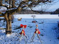 In Wessling, Bavaria, Germany, on January 9, 2021, decorative wooden reindeer adorned with red bows stand in a snow-covered park near the fr...