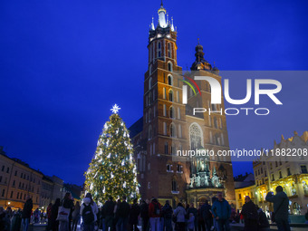 The Christmas tree, which has been recognized by Time Out magazine as the most beautiful in the world., is seen at the Main Square in Krakow...