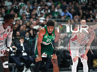 Kostas Antetokounmpo of Panathinaikos AKTOR Athens plays during the Euroleague, Round 17 match between Panathinaikos AKTOR Athens and Baskon...