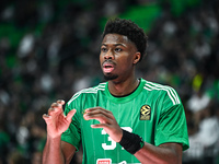 Kostas Antetokounmpo of Panathinaikos AKTOR Athens plays during the Euroleague, Round 17 match between Panathinaikos AKTOR Athens and Baskon...