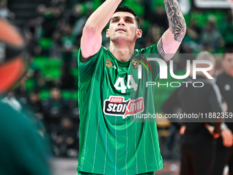 Konstantinos Mitoglou of Panathinaikos AKTOR Athens plays during the Euroleague, Round 17 match between Panathinaikos AKTOR Athens and Basko...