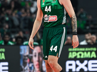 Konstantinos Mitoglou of Panathinaikos AKTOR Athens plays during the Euroleague, Round 17 match between Panathinaikos AKTOR Athens and Basko...