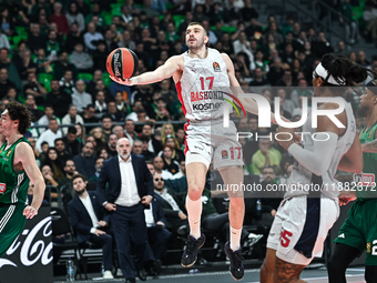 Nikolaos Rogkavopoulos of Baskonia Vitoria-Gasteiz plays during the Euroleague, Round 17 match between Panathinaikos AKTOR Athens and Baskon...