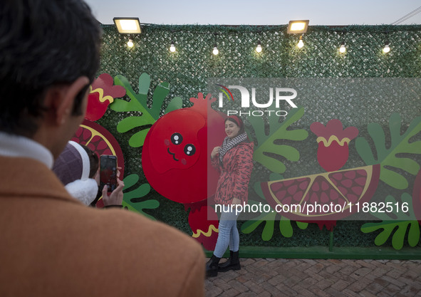 A young Iranian woman poses for a photograph in front of Yalda decorations during a pomegranate festival on Yalda Night Eve in the Abasabad...