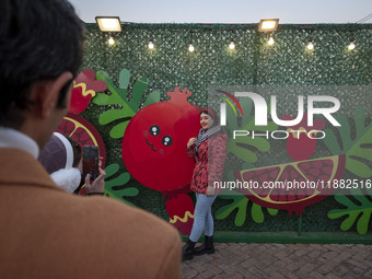 A young Iranian woman poses for a photograph in front of Yalda decorations during a pomegranate festival on Yalda Night Eve in the Abasabad...