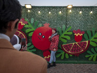 A young Iranian woman poses for a photograph in front of Yalda decorations during a pomegranate festival on Yalda Night Eve in the Abasabad...