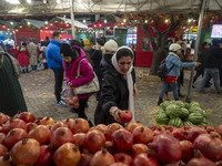 An Iranian woman collects pomegranates while shopping for the Yalda Night ceremony during a pomegranate festival in the Abasabad tourism zon...