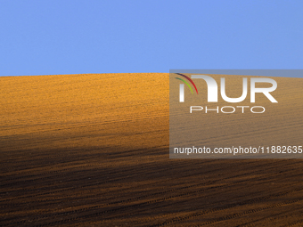 A plowed and seeded wheat field lies under a clear sky in the Alta Murgia region of Puglia, southern Italy. The vast, rolling plains demonst...