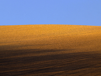 A plowed and seeded wheat field lies under a clear sky in the Alta Murgia region of Puglia, southern Italy. The vast, rolling plains demonst...