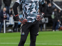 John Ruddy of Newcastle United warms up during the Carabao Cup Quarter Final match between Newcastle United and Brentford at St. James's Par...