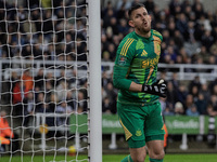 Martin Dubravka of Newcastle United is seen during the Carabao Cup Quarter Final match between Newcastle United and Brentford at St. James's...