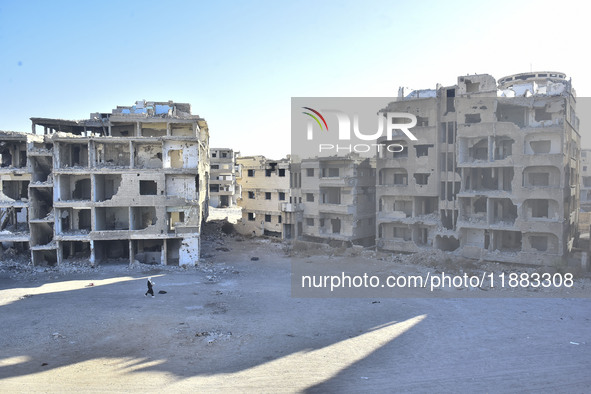 Pictures show the extent of the massive destruction in the Yarmouk camp in Damascus, Syria, on December 19, 2024, caused by the Syrian regim...