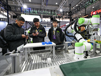 Visitors view smart devices at the World Intelligent Manufacturing Expo 2024 in Nanjing, China, on December 20, 2024. (