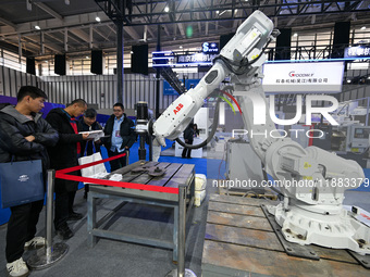 Visitors view smart devices at the World Intelligent Manufacturing Expo 2024 in Nanjing, China, on December 20, 2024. (