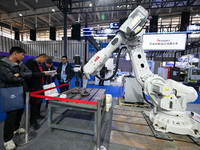 Visitors view smart devices at the World Intelligent Manufacturing Expo 2024 in Nanjing, China, on December 20, 2024. (