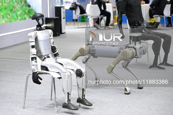 Various robots are on display at the World Intelligent Manufacturing Expo 2024 in Nanjing, Jiangsu province, China, on December 20, 2024. 