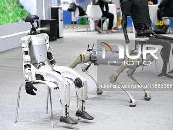 Various robots are on display at the World Intelligent Manufacturing Expo 2024 in Nanjing, Jiangsu province, China, on December 20, 2024. (