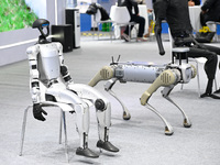 Various robots are on display at the World Intelligent Manufacturing Expo 2024 in Nanjing, Jiangsu province, China, on December 20, 2024. (