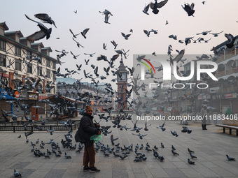 Pigeons search for food near the famous clock tower ''Ganta Ghar'' on a cold winter morning in Srinagar, Jammu and Kashmir, India, on Decemb...